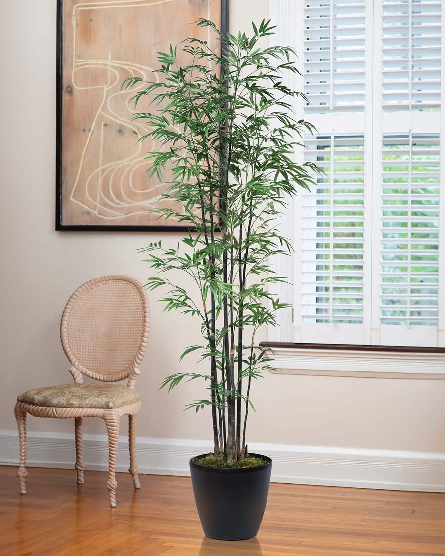 6' Silk Bamboo Tree