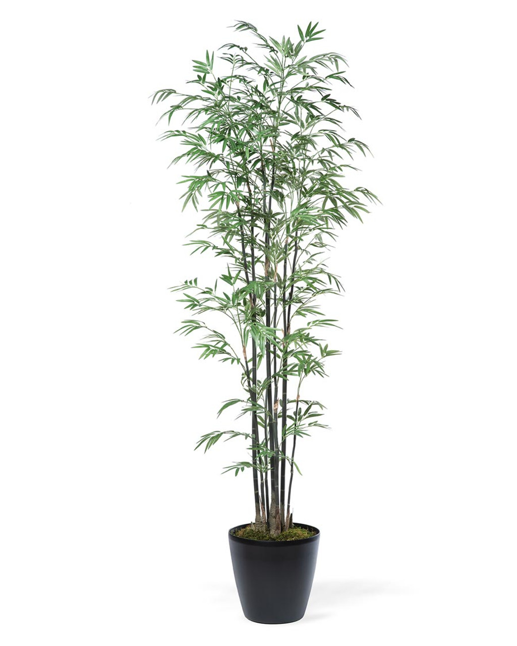 6' Silk Bamboo Tree