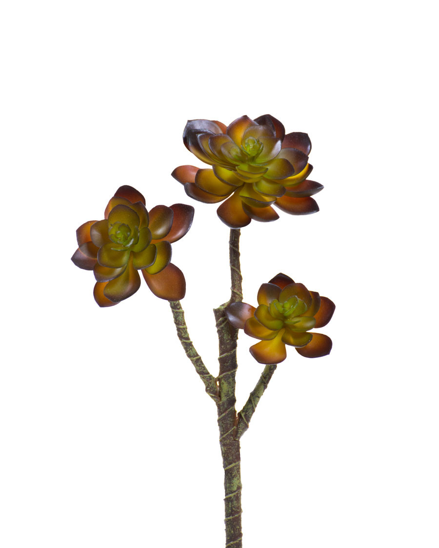 13" Faux Echeveria Artificial Foliage Spray