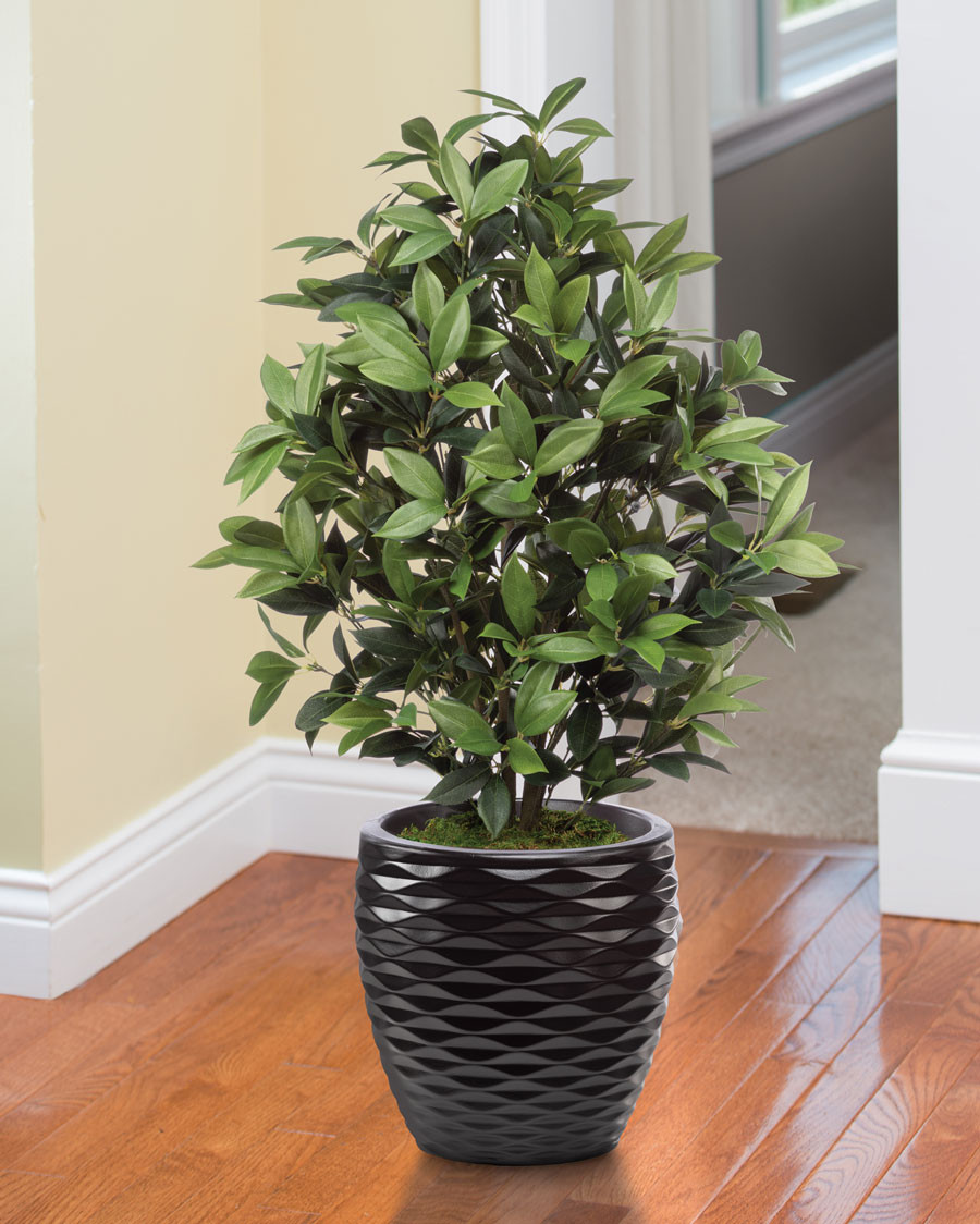 Faux Olive Bush