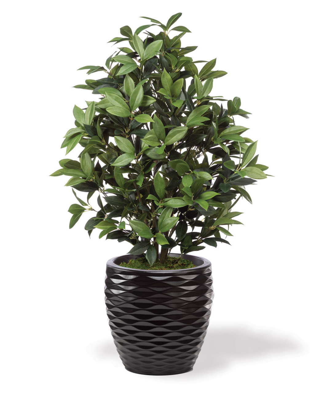 Faux Olive Bush