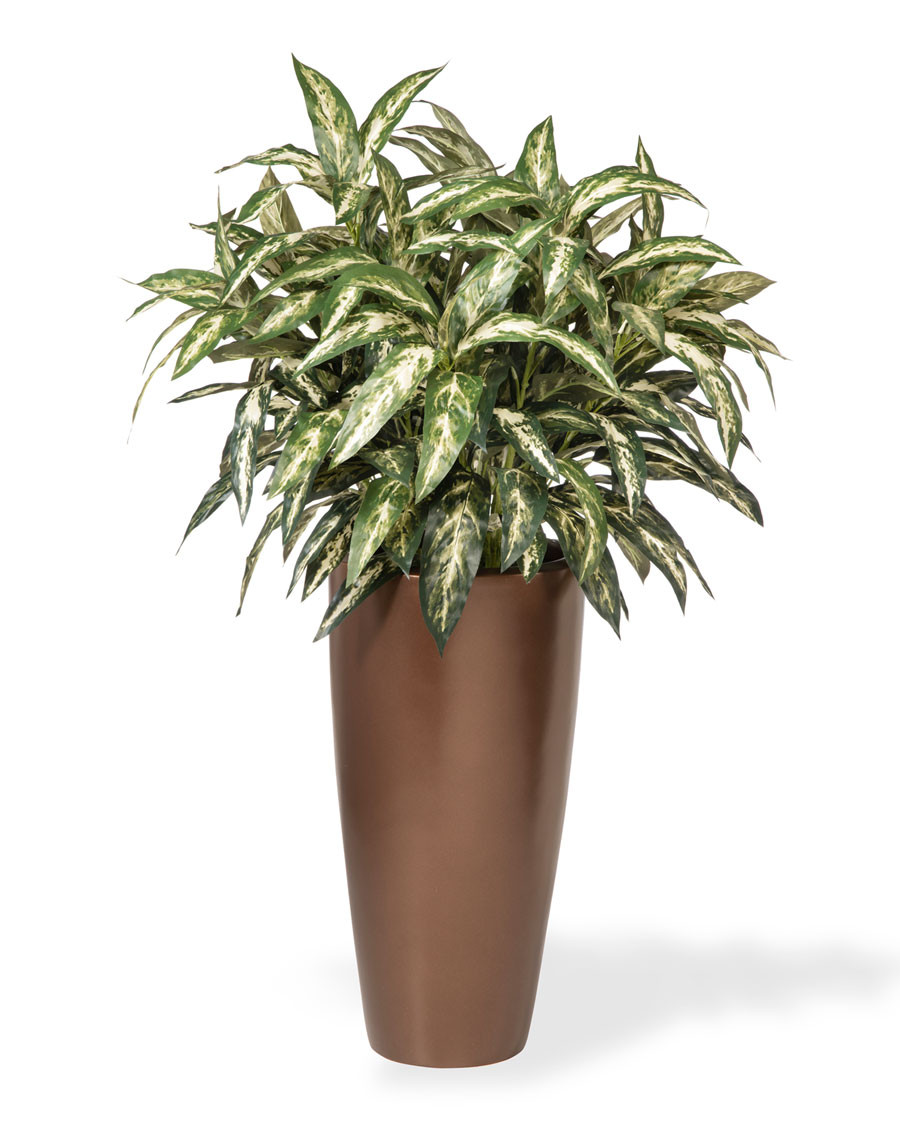 Double Chinese Evergreen Silk Floor Plant