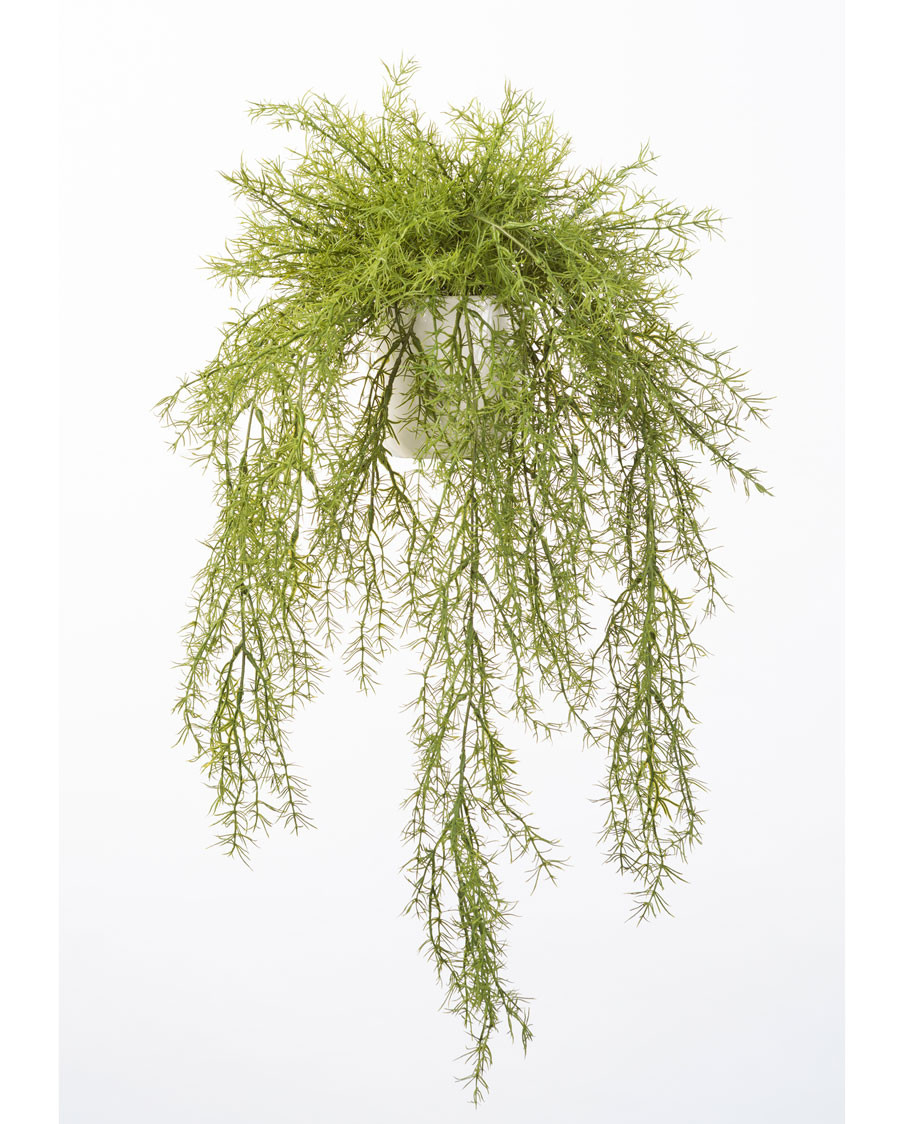 Cascading Springerii Artificial Fern Plant