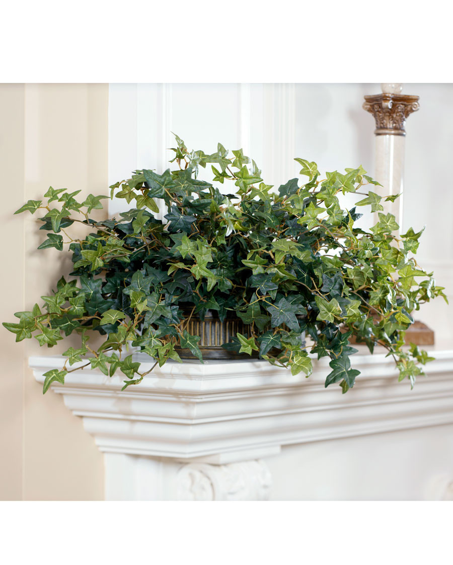 Silk English Ivy in Oval Planter