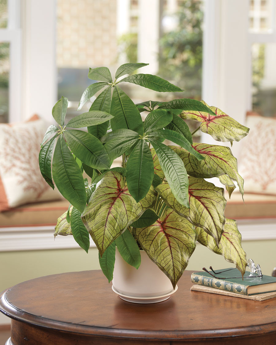 Money Tree & Caladium Faux Foliage Planter