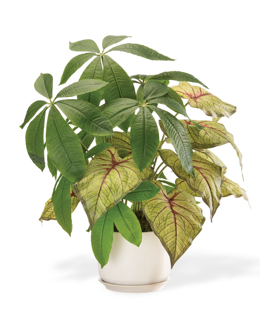 Money Tree & Caladium Faux Foliage Planter