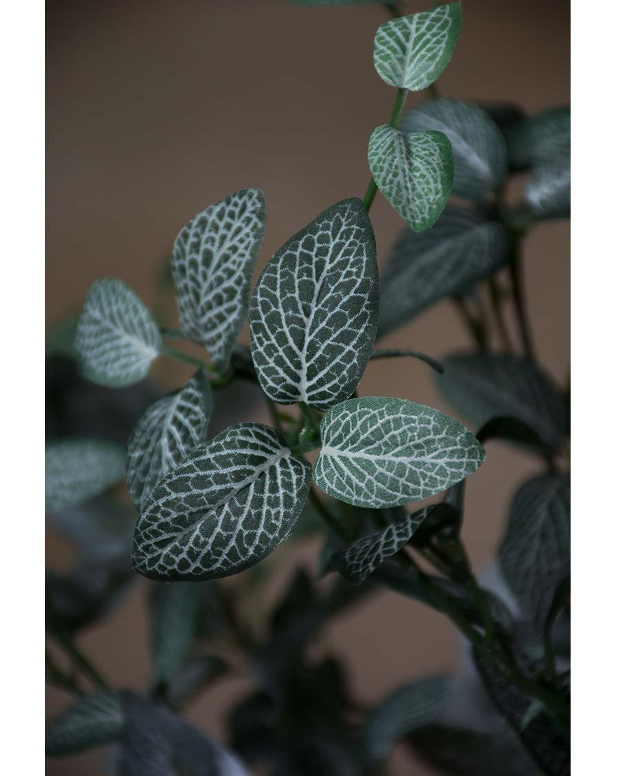 25" Mini Fittonia Artificial Foliage Spray