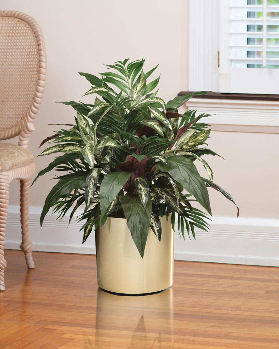Aspidistra, Palm & Silver King Silk Foliage Planter