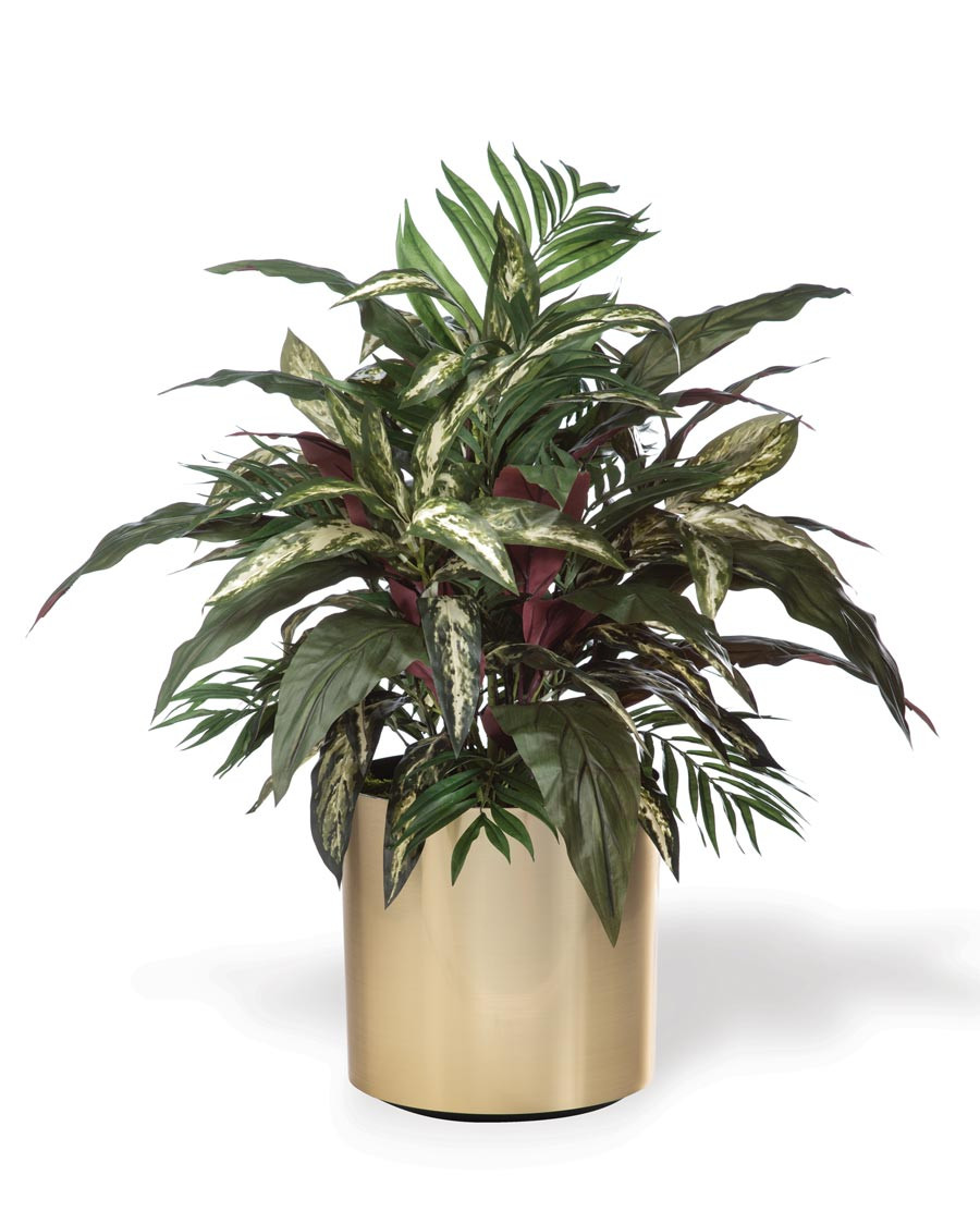 Aspidistra, Palm & Silver King Silk Foliage Planter