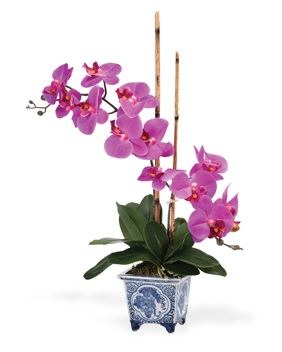 Faux Phalaenopsis Orchid Plant