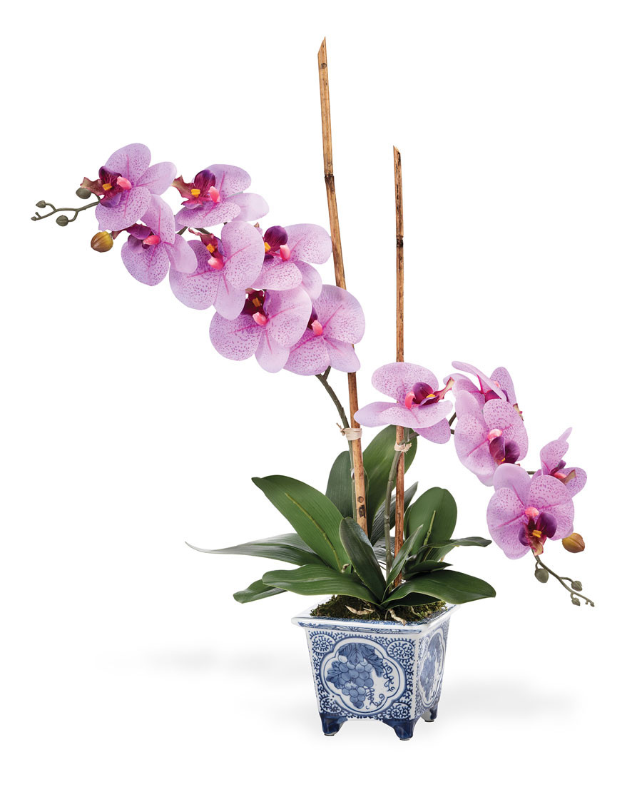 Faux Phalaenopsis Orchid Plant