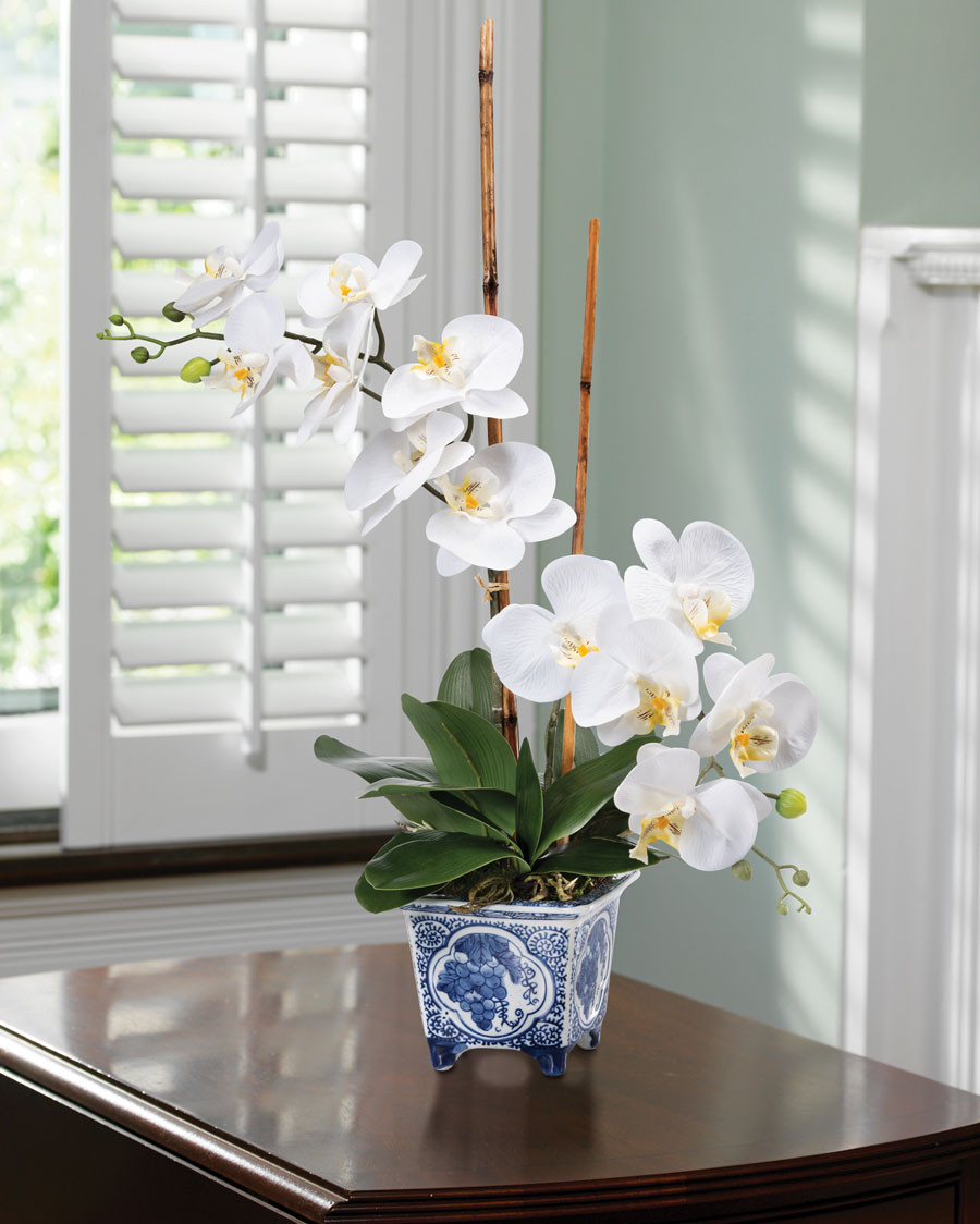 Faux Phalaenopsis Orchid Plant