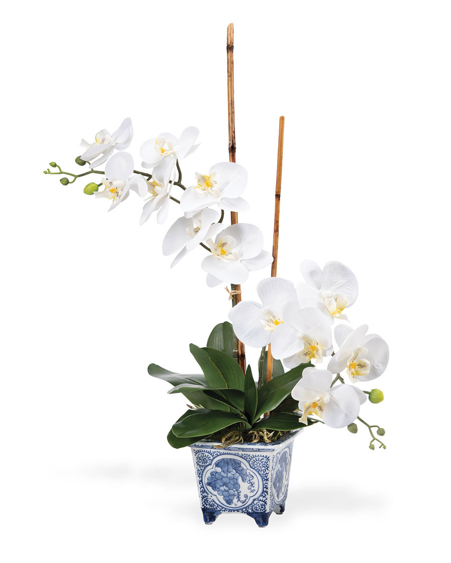 Faux Phalaenopsis Orchid Plant