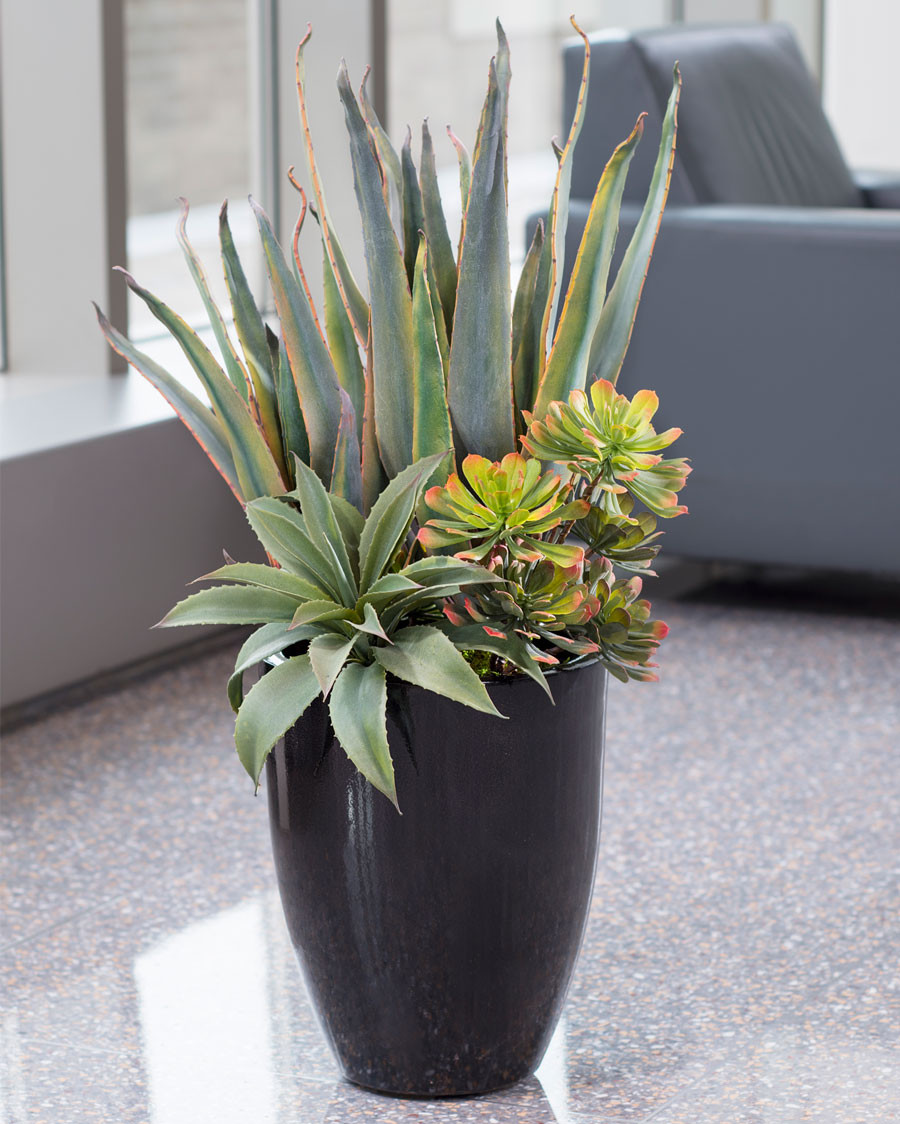 Baja Agave & Echeveria Artificial Succulent Planter