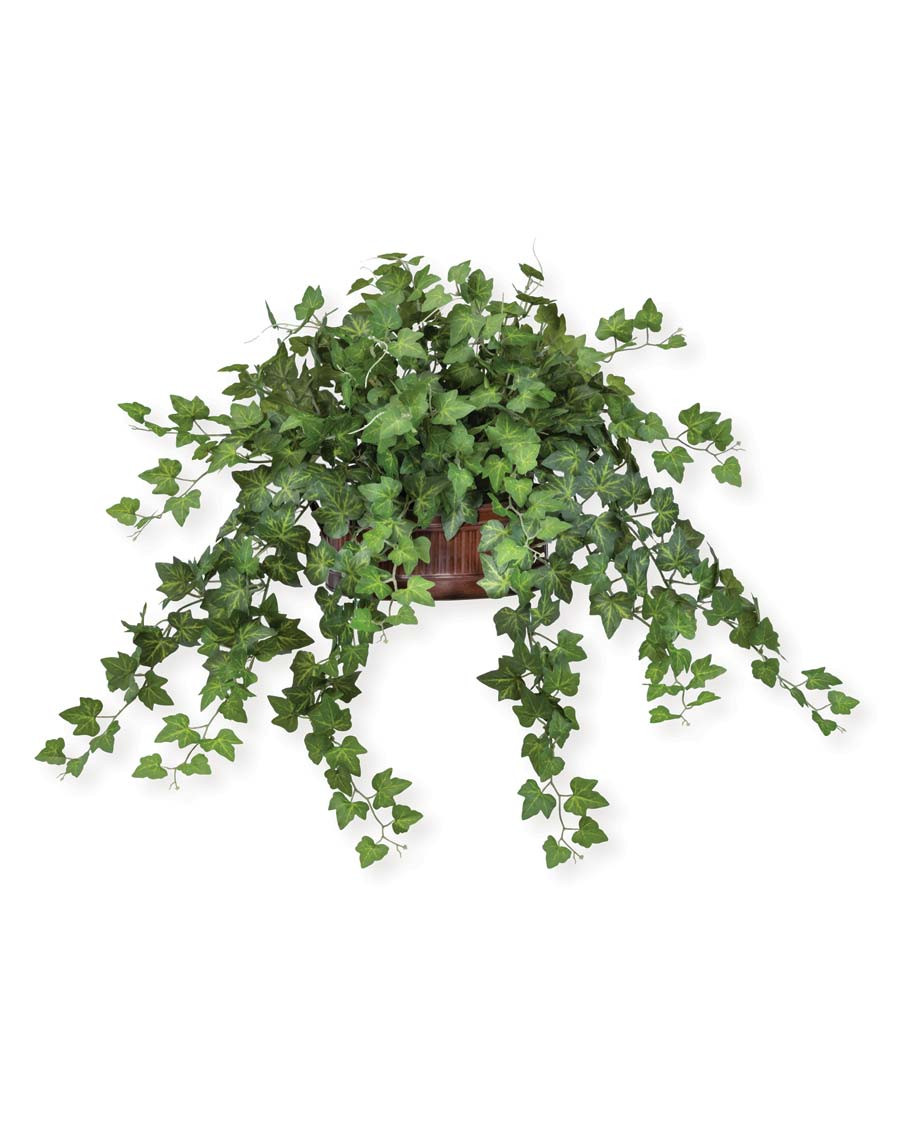 Cascading English Ivy Silk Planter