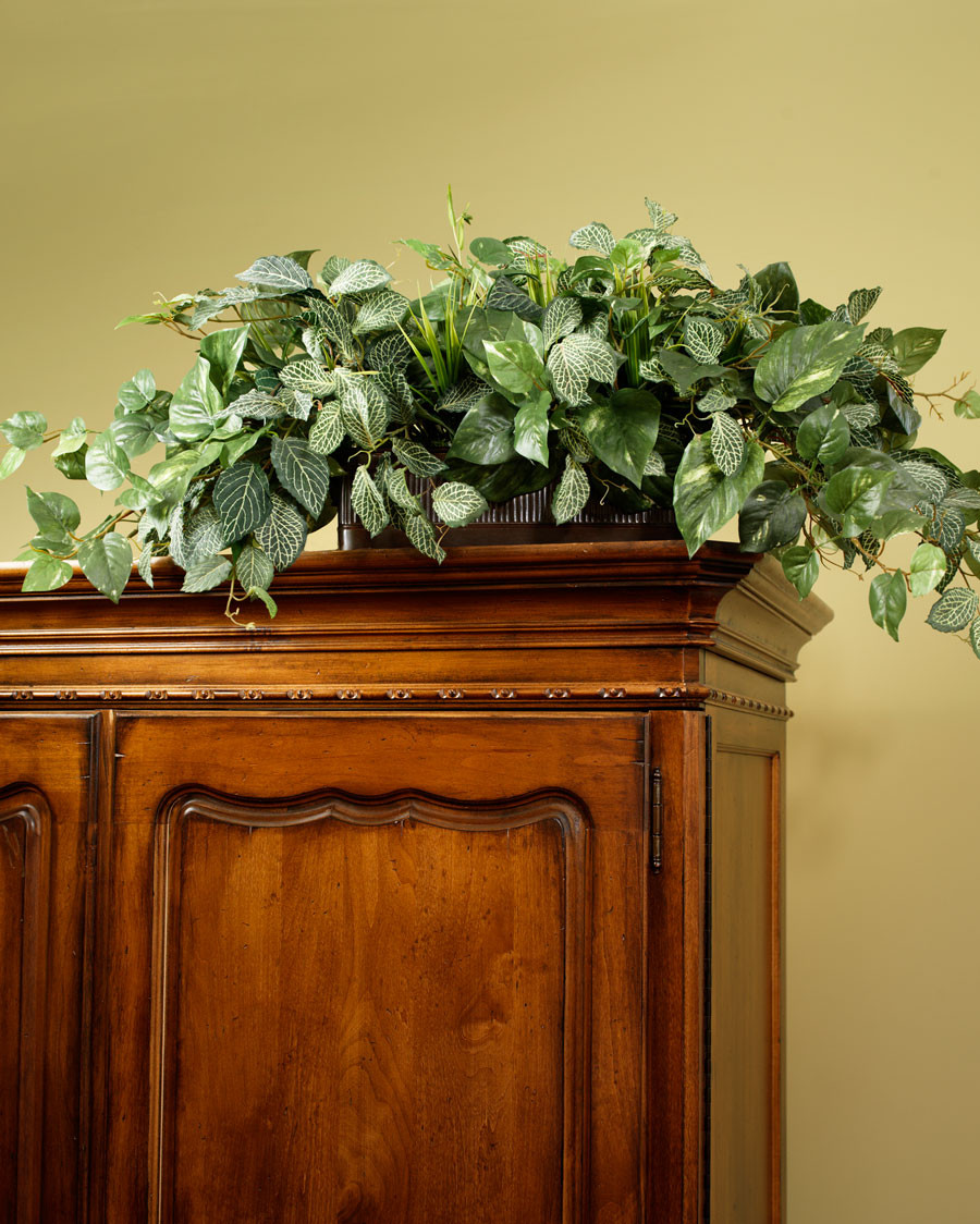 Pothos & Fittonia Armoire Silk Planter