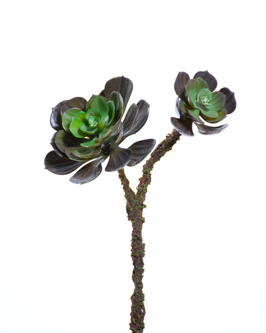 13" Hen & Chick Artificial Foliage Stem