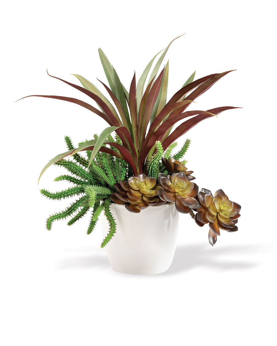 Yucca, Cactus & Echeveria Mixed Faux Foliage Planter