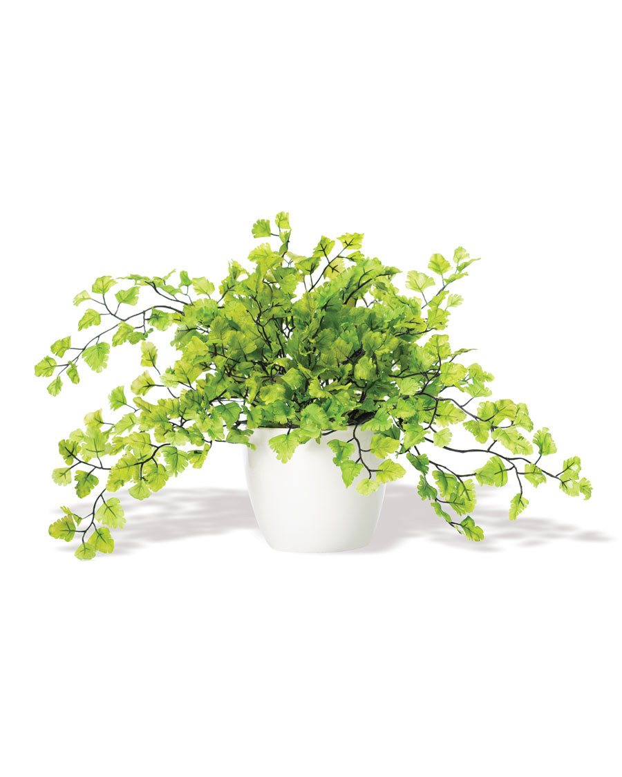 Maidenhair Fern Silk Foliage Plant