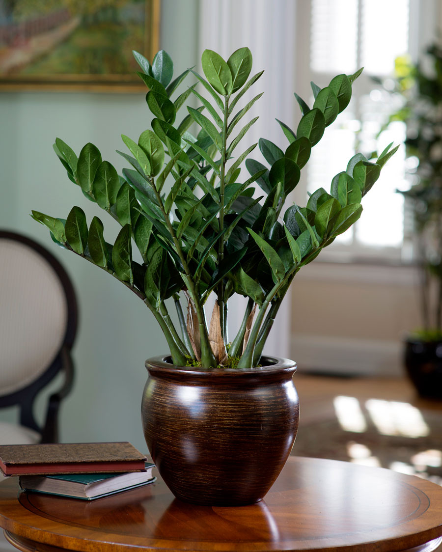 23" ZZ Silk Plant