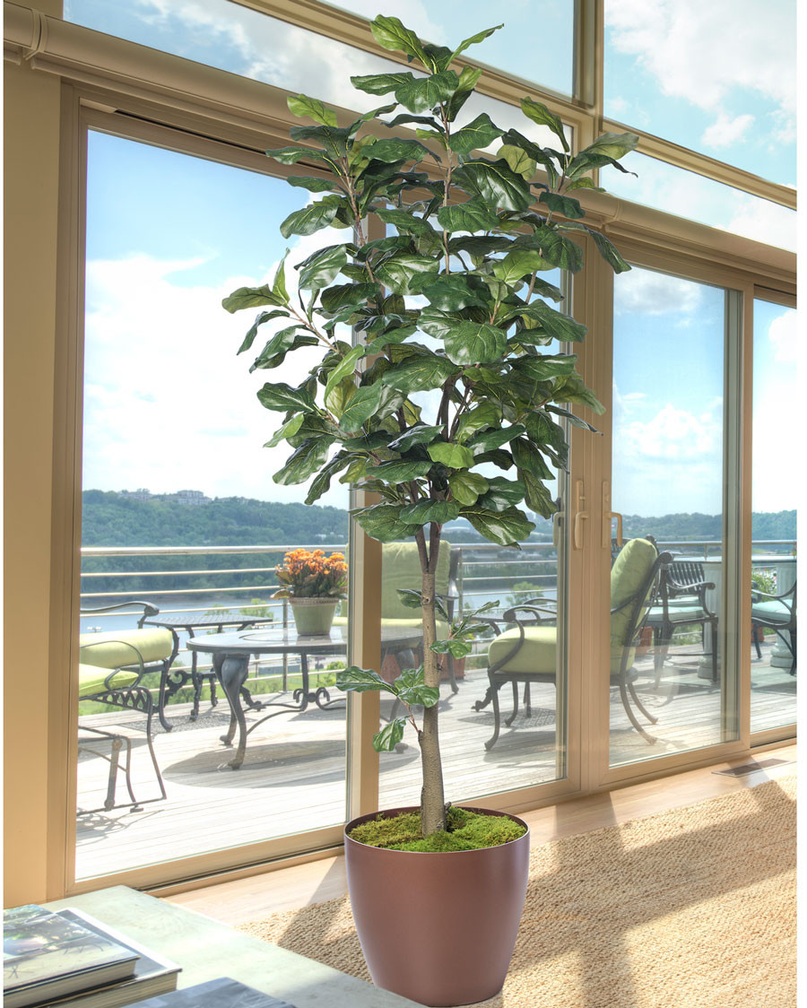 6' Single Trunk Fiddle Leaf Fig Silk Tree