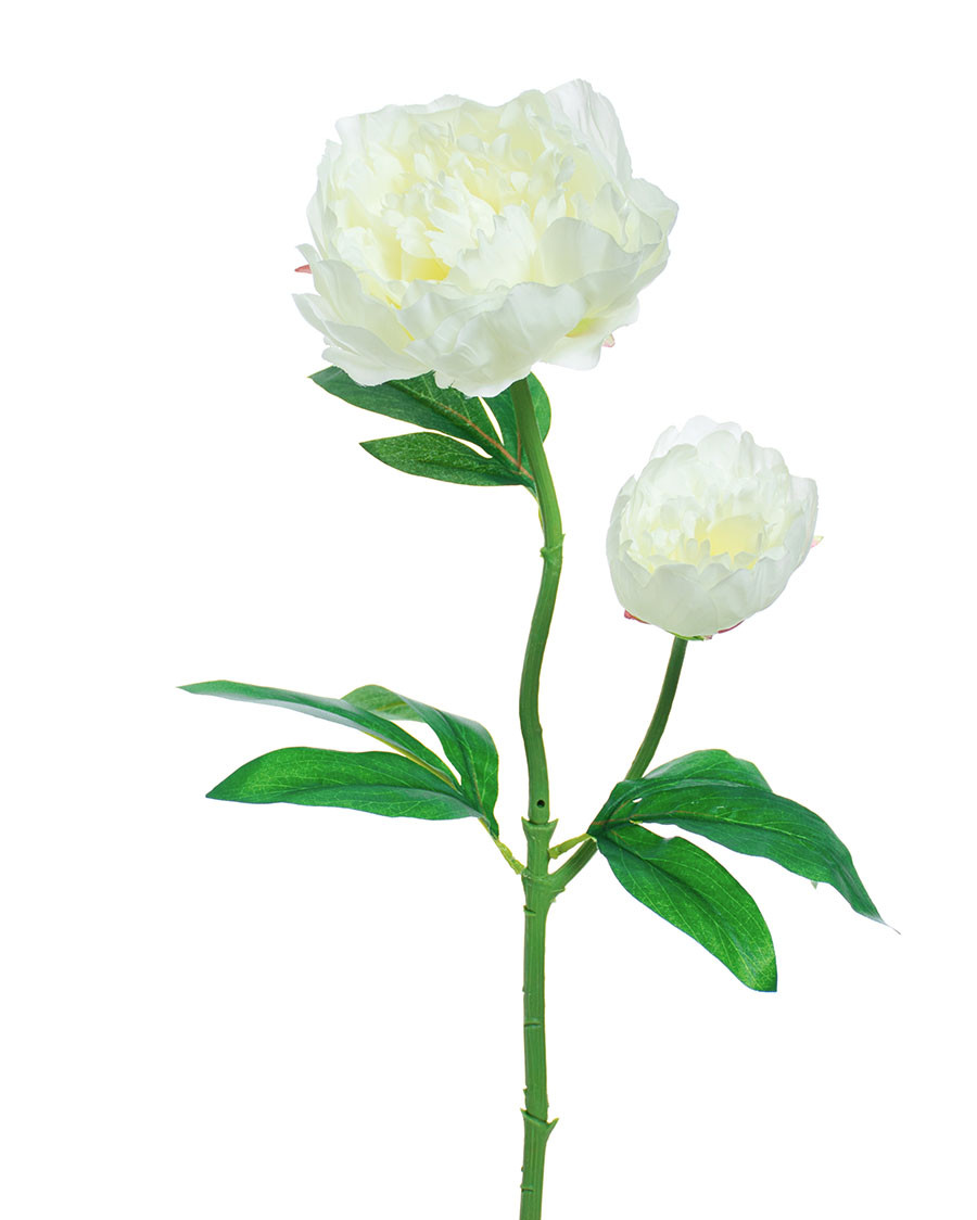 24" Peony Silk Flower Stem