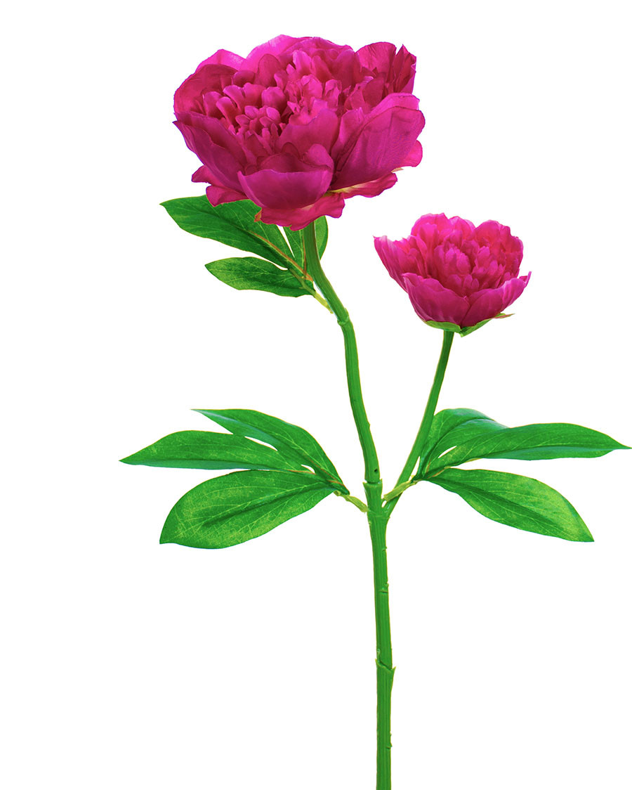 24" Peony Silk Flower Stem