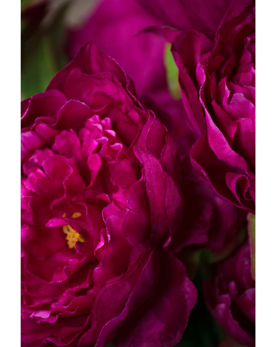 24" Peony Silk Flower Stem
