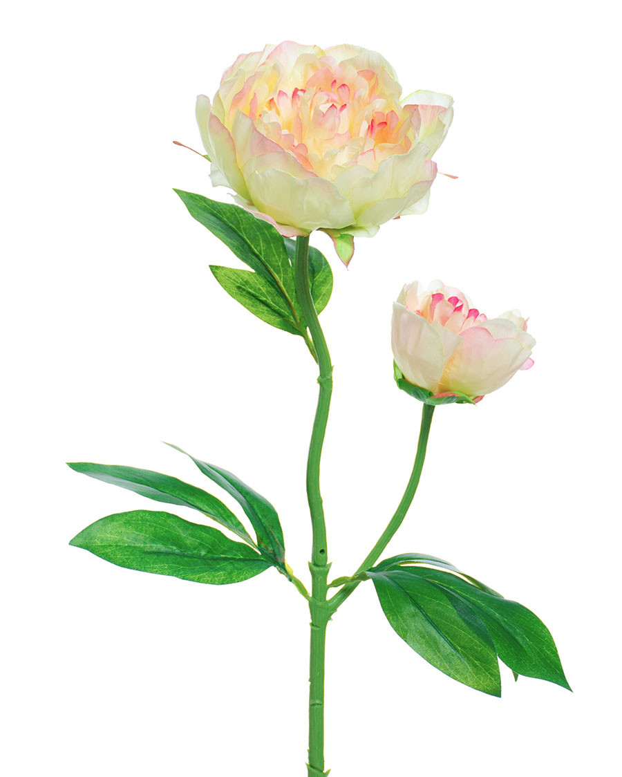 24" Peony Silk Flower Stem