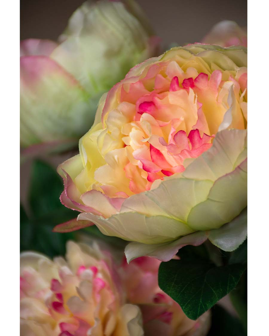24" Peony Silk Flower Stem