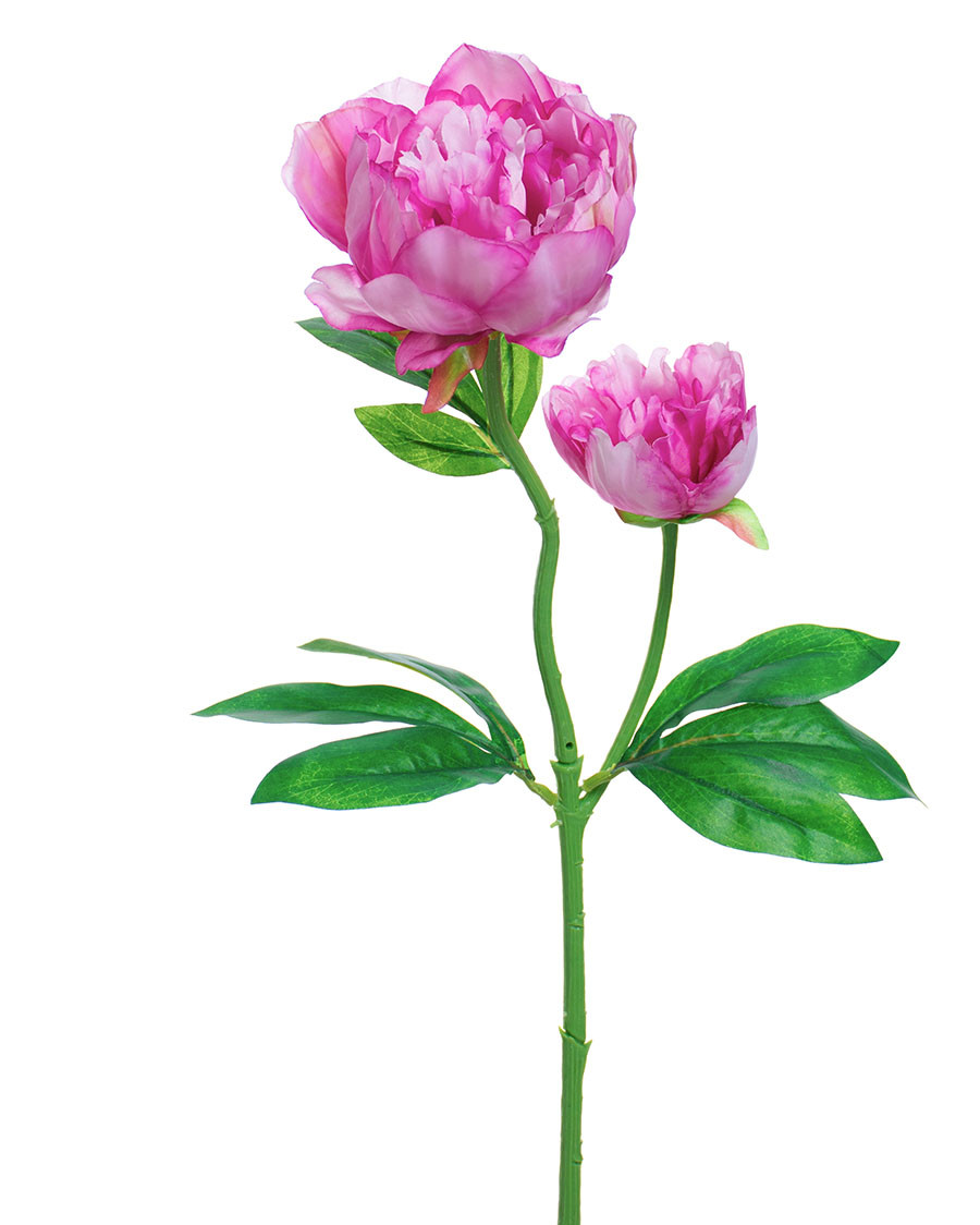 24" Peony Silk Flower Stem