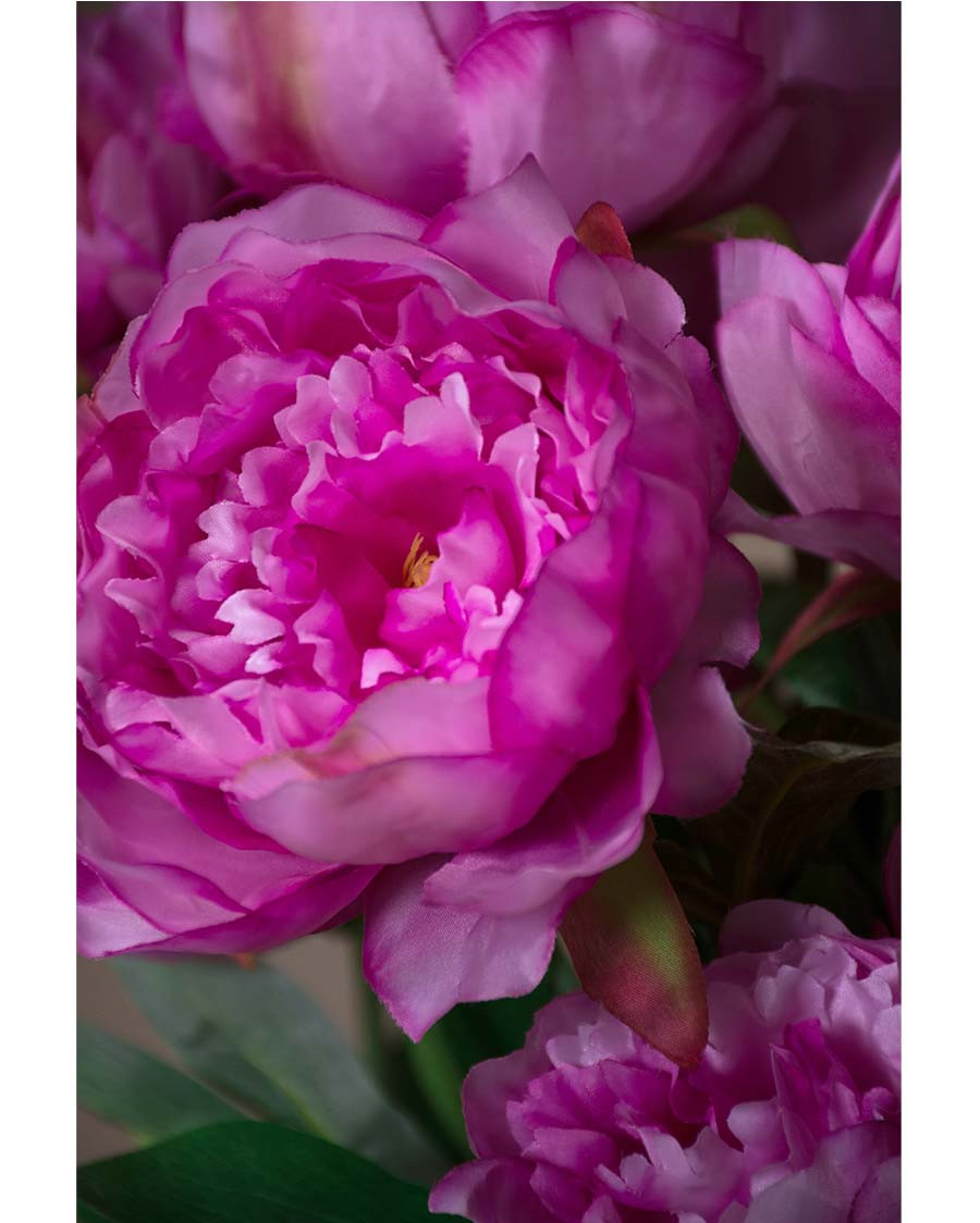 24" Peony Silk Flower Stem