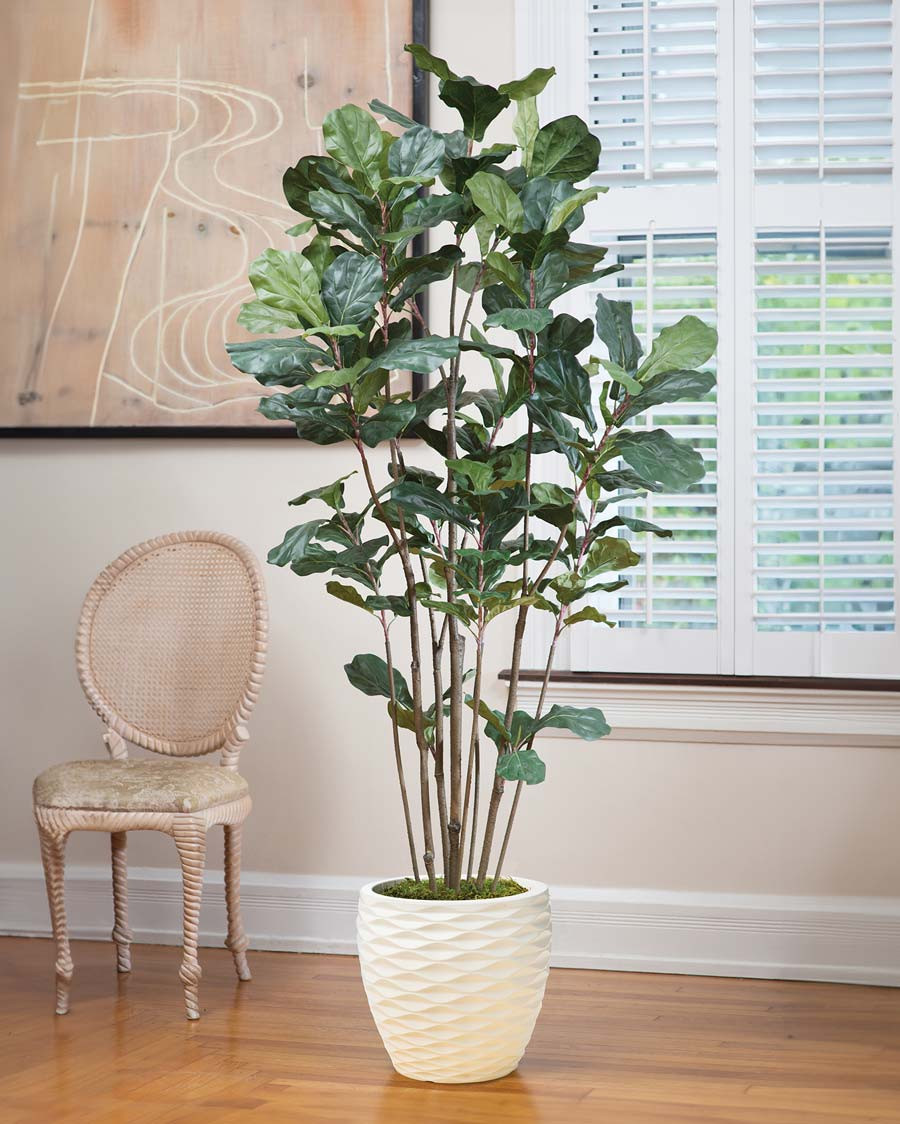 7' Fiddle Leaf Fig Silk Tree