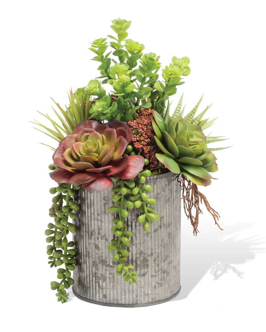 String of Pearls & Jade Artificial Succulent Arrangement