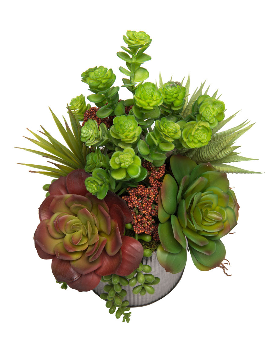 String of Pearls & Jade Artificial Succulent Arrangement