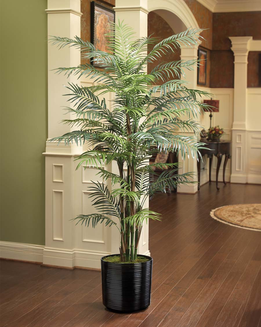 6' Reed Palm Silk Tree