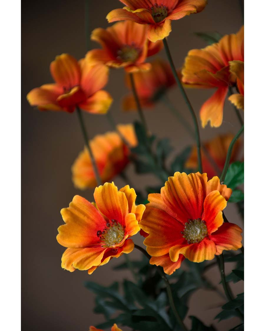 30" Cosmos Silk Flower Stem