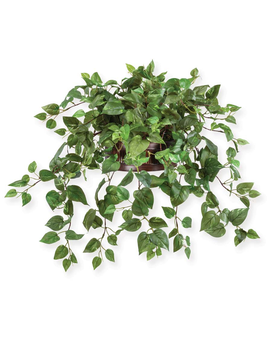 Cascading Pothos Silk Planter