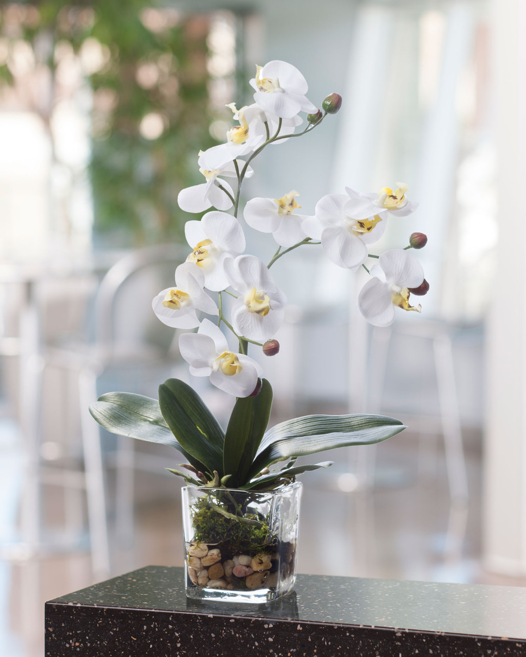 Faux Phalaenopsis Orchid Accent