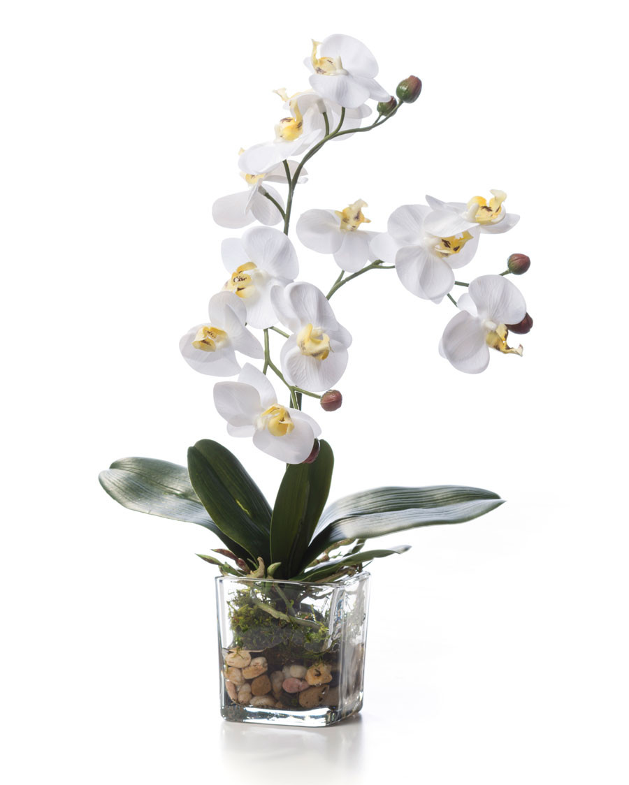 Faux Phalaenopsis Orchid Accent