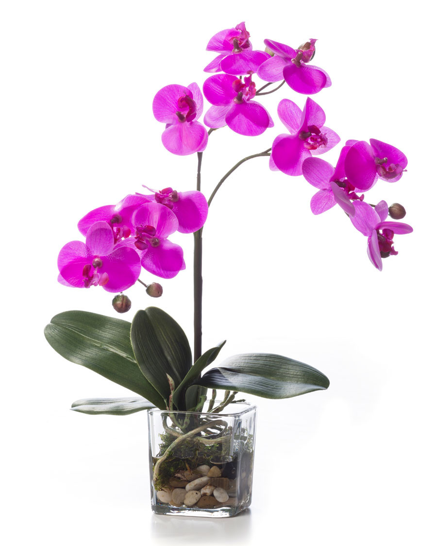 Faux Phalaenopsis Orchid Accent 4 Faux Phalaenopsis Orchid Accent