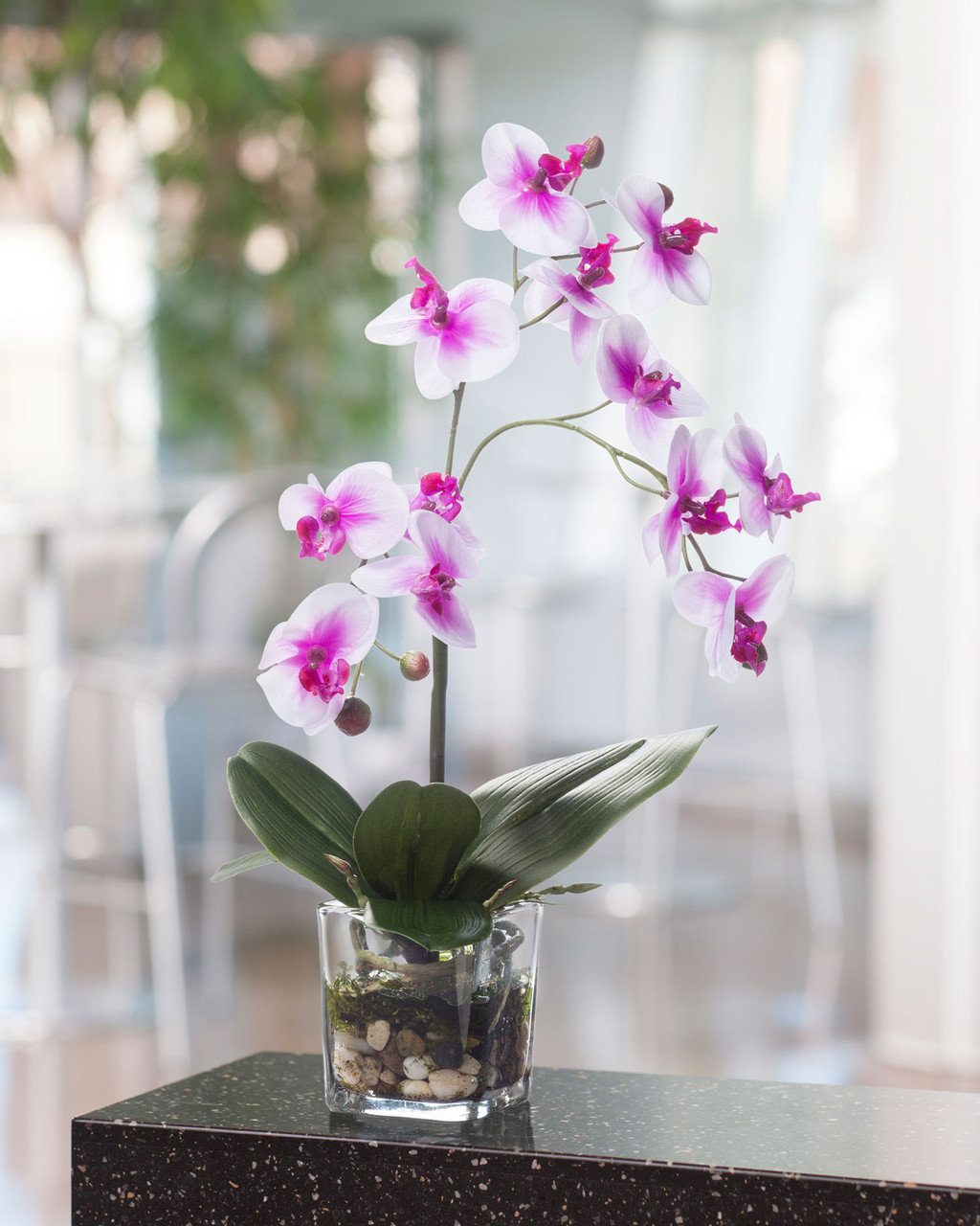 Faux Phalaenopsis Orchid Accent 5 Faux Phalaenopsis Orchid Accent