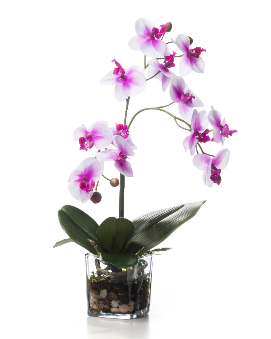 Faux Phalaenopsis Orchid Accent 6 Faux Phalaenopsis Orchid Accent