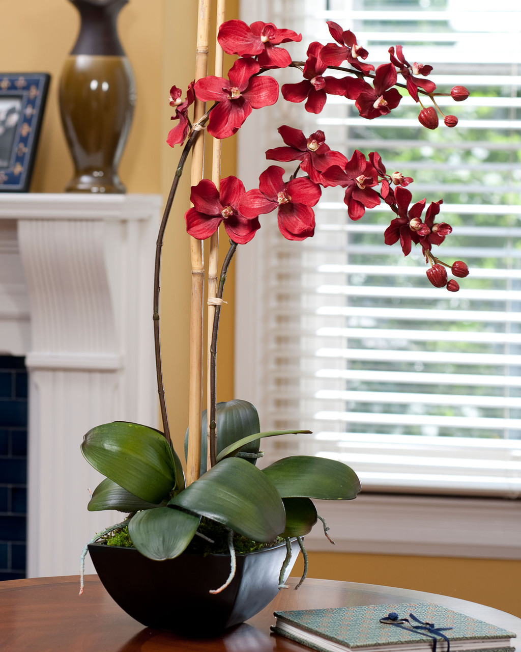 Silk Vanda Orchid Plant
