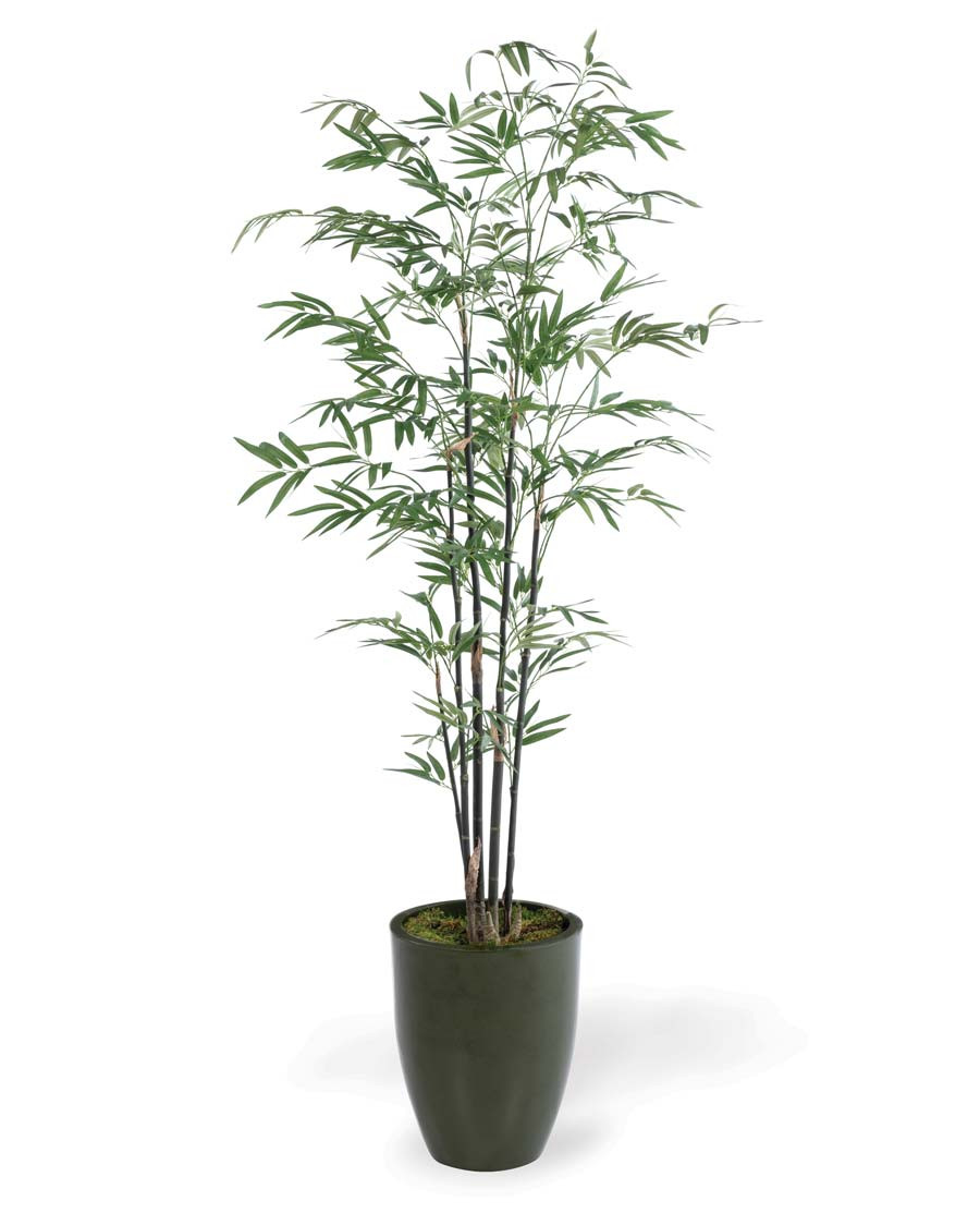 5' Silk Bamboo Tree