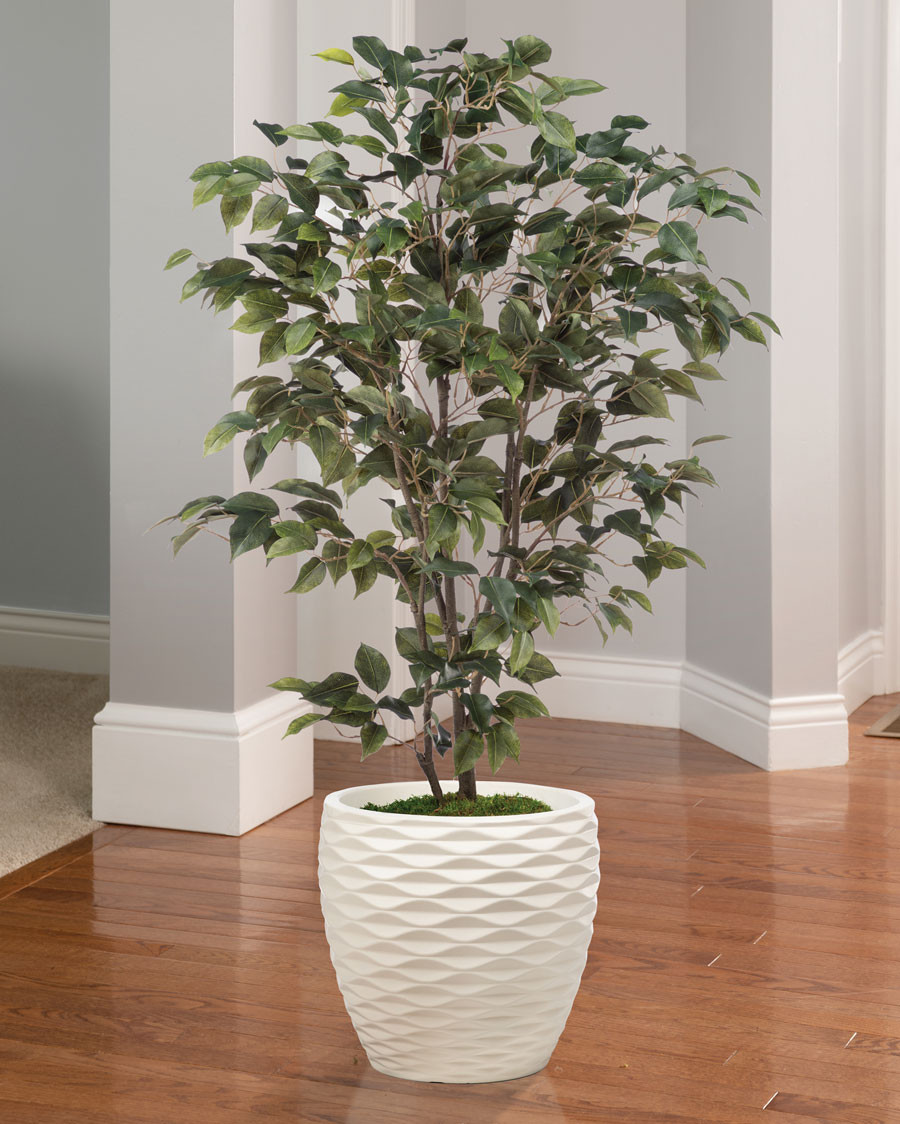 Silk Ficus Bush Plant