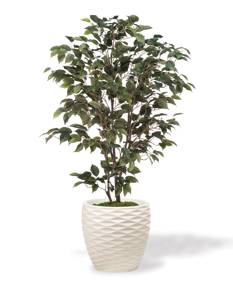 Silk Ficus Bush Plant