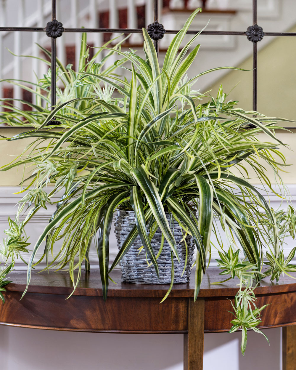 Hanging Spider Plant Silk Foliage Planter
