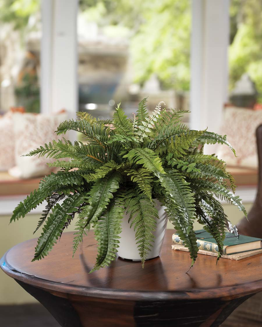 Premier Fern Faux Foliage Planter