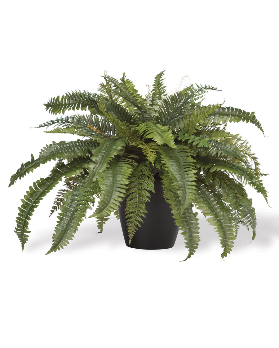 Premier Fern Faux Foliage Planter